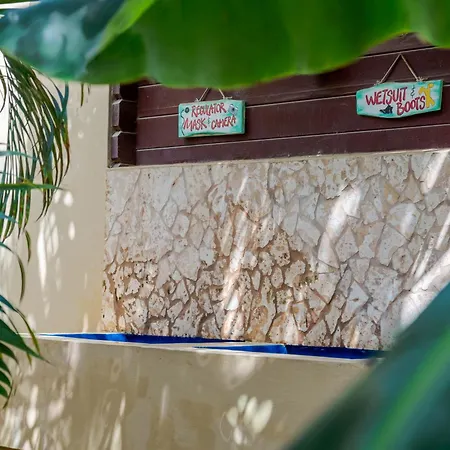 Bamboo Bonaire By Boutique Bonaire Unique Resorts-2
